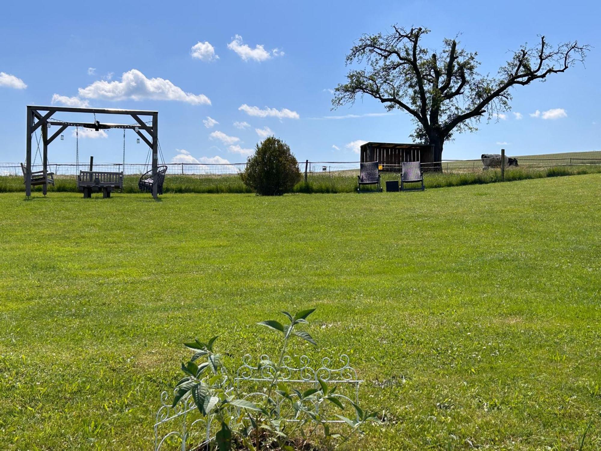 Ferienhaus Vetter Saechsische Schweiz 16 Papstdorf Dış mekan fotoğraf